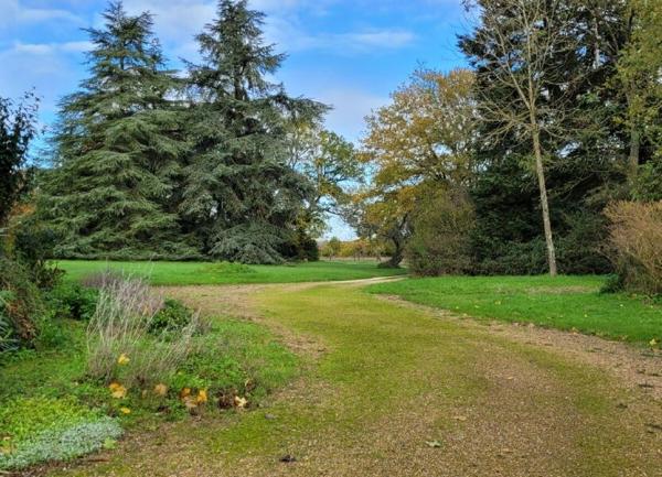 Maison à vendre    8 pièces •  Saunay