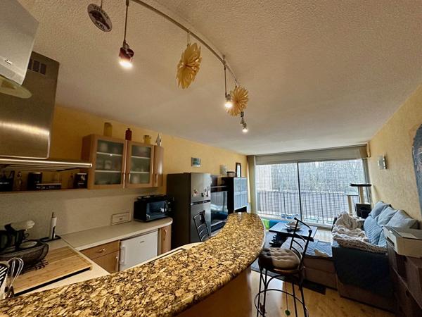 APPARTEMENT UNE CHAMBRE A CARCASSONNE