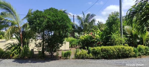 A ST JOSEPH, plateau VINCENDO, UNE BELLE PARCELLE DE 494M2, PLAT, ZONE U5, VUE MONTAGNE