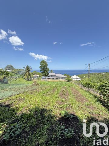 Terrain à vendre 1 000 m² Vieux-Habitants