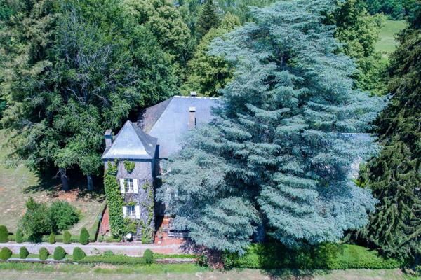 Vente Manoir Castres 28 Pièces 1000 m²