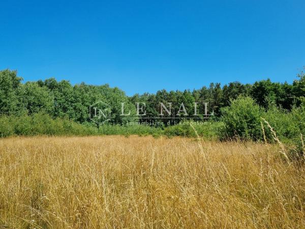 Belle propriété et son parc de 4 hectares aux portes de la forêt d’Orléans