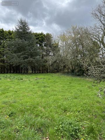 Maison à vendre à La Forêt-Fouesnant dans le Finistère (29940), ref : 29014-2763