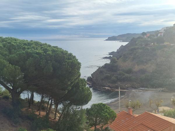 À vendre - T3, 3 pièces situé à Banyuls-sur-Mer (66650)
