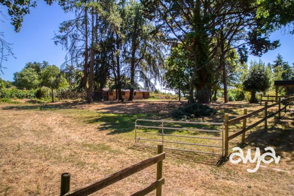 ENTRE NANTES ET LA BAULE – MAISON DE 250 M² SUR PLUS DE 6 HECTARES