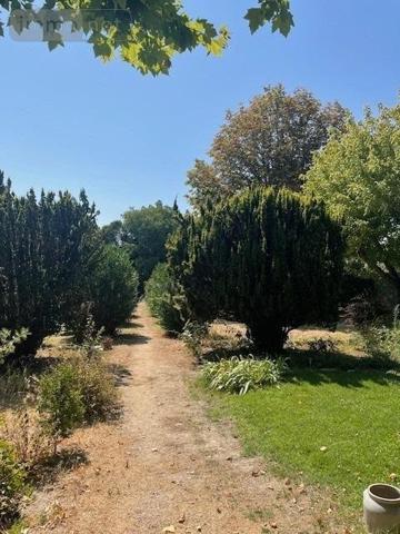 Maison de maître à vendre à Montpellier dans l'Hérault (34000), ref : 1051976   
SUD OUEST
