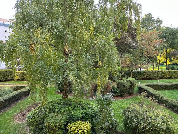 Appartement Maisons Alfort 4 pièce(s) 87 m²