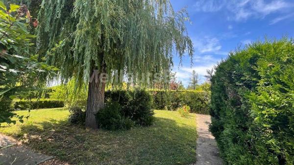 PAVILLON SUR SOUS-SOL TOTAL