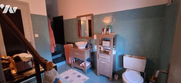 VIC-FEZENSAC, centre ville maison de maître de 300m² cour et terrasse.