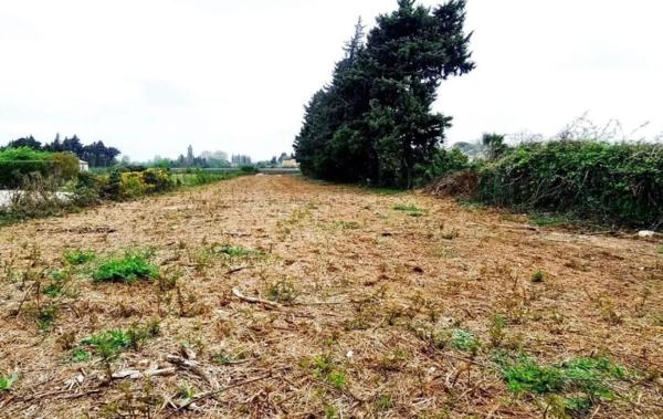 Vente Terrain Jonquerettes   