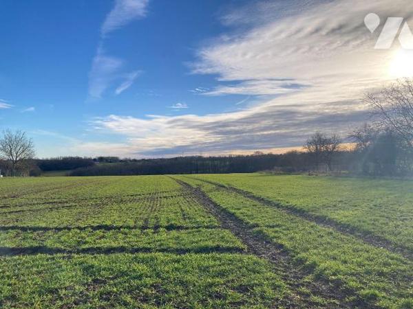 Terrain à Vendre à Cornant (89500) en Yonne (89) - à 15mins de SENS  avec accès par la rocade s...