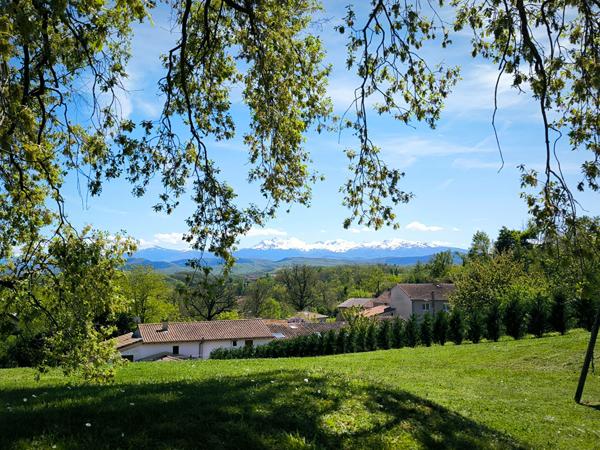 Jolie maison d'architecte face aux Pyrénées . 12910 M2 Pamiers