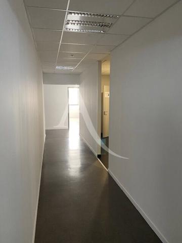 Bureaux MONTAUBAN ALBASUD 15 pièce(s) 531 m2