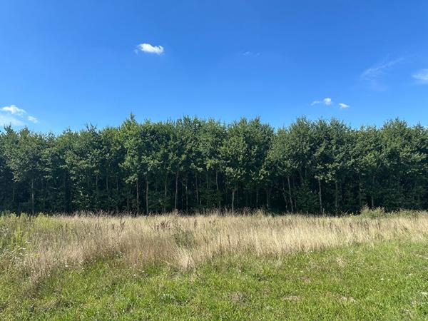 Terrain constructible à Boigny-sur-Bionne (45760) ? 970 m²