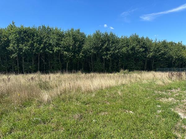 Terrain constructible à Boigny-sur-Bionne (45760) ? 970 m²