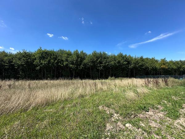 Terrain constructible à Boigny-sur-Bionne (45760) ? 970 m²