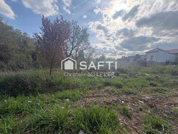 RARE : Terrain d’exception en lisière de bois – Saint-Nicolas-de-Port