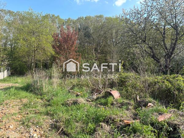 RARE : Terrain d’exception en lisière de bois – Saint-Nicolas-de-Port