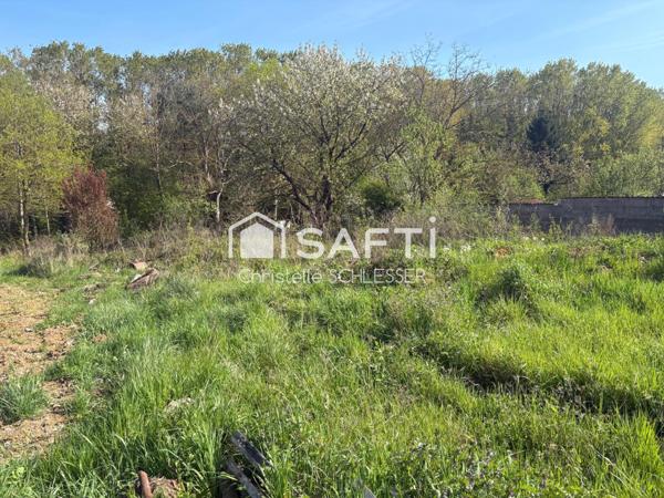 RARE : Terrain d’exception en lisière de bois – Saint-Nicolas-de-Port