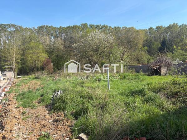 RARE : Terrain d’exception en lisière de bois – Saint-Nicolas-de-Port