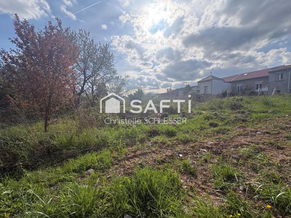 RARE : Terrain d’exception en lisière de bois – Saint-Nicolas-de-Port