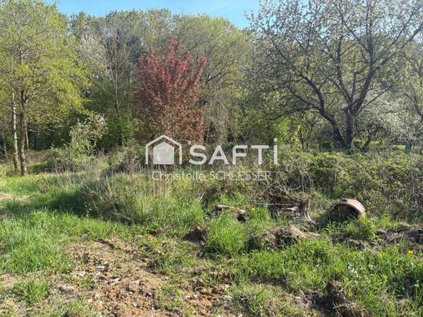 RARE : Terrain d’exception en lisière de bois – Saint-Nicolas-de-Port