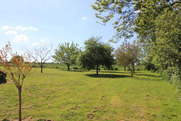 Longère à vendre avec dépendance sur un terrain de 4256m², 5 pièces VEZINS (49)