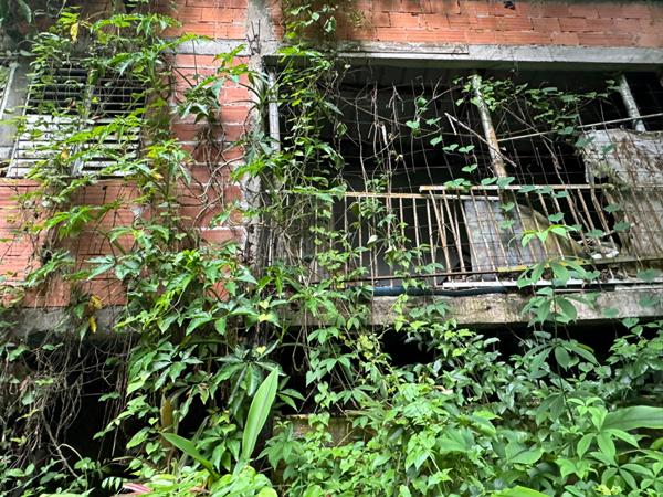 Achat maison Le Robert - 1168 m² - 100 000 €