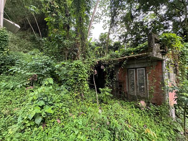 Achat maison Le Robert - 1168 m² - 100 000 €