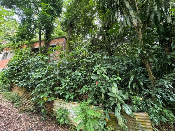 Achat maison Le Robert - 1168 m² - 100 000 €