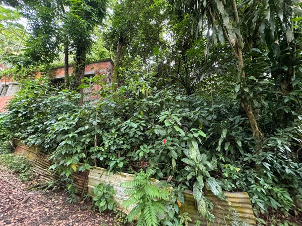 Achat maison Le Robert - 1168 m² - 100 000 €