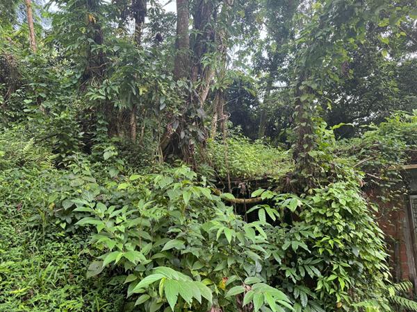 Achat maison Le Robert - 1168 m² - 100 000 €