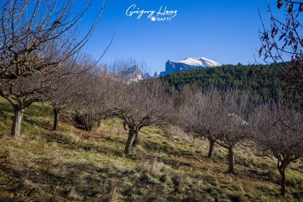 Maison avec terrain de 3000m²