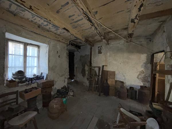 Entremont-le-Vieux (73670) Propriété avec belle bâtisse de 205 m2 à rénover - 1600 m2 terrain - 30mn de Chambéry - Entremont le Vieux 73