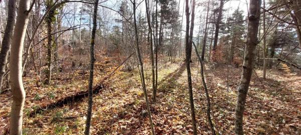 Vente Terrain 1370 m2 à Andon