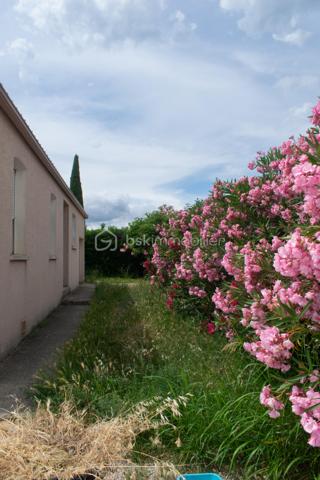 Découvrez cette charmante maison traditionnelle située dans un quartier pavillonnaire paisible de Saint-André-de-Sangonis.
Implantée sur une parcelle de 626 m², cette maison lumineuse de 103 m² environ offre un cadre de vie confortable et fonctionnel, idéal pour une famille à la recherche de tranquillité et d'espace.

Dès l'entrée, vous serez séduits par sa vaste pièce de vie de plus de 43 m², baignée de lumière. Cet espace convivial réunit salon, séjour et cuisine ouverte. La terrasse surélevée, accessible directement depuis la pièce de vie, constitue un véritable prolongement de la maison vers le jardin.

Dans le prolongement du séjour, quelques marches mènent à une pièce supplémentaire bénéficiant d'une baie vitrée et terrasse: Bureau, salon TV, salle de jeux ou quatrième chambre : cet espace s'adapte facilement à tous vos projets.

L'espace nuit se compose de trois chambres avec placard ainsi que d'une salle d'eau fonctionnelle, wc séparé.

Un garage isolé avec mezzanine et accès direct à la maison complète les prestations.

Côté confort, la maison dispose d'une climatisation gainable, de panneaux solaires,chauffe-eau thermodynamique ainsi que d'un adoucisseur d'eau. Eau du canal.

À l'extérieur, vous profiterez d'un agréable jardin arboré agrémenté de lauriers en fleurs, d'une piscine propice aux moments de détente et d'espaces à aménager selon vos envies. Deux portails facilitent l'accès à la propriété et permettent le stationnement de plusieurs véhicules, dont trois voitures sur la parcelle.

Les atouts :
• Maison 4 faces
• Pièce de vie de plus de 43 m²
• Possibilité de créer une 4ème chambre
• Climatisation gainable
• Panneaux solaires
• Piscine
• Garage isolé avec accès direct
• Stationnement multiple
• Terrain de 626 m²

Une maison lumineuse, évolutive et agréable à vivre, offrant un beau potentiel d'aménagement dans un environnement recherché.
Les visuels de home stanging facilitent la projection et permettent d'imaginer le potentiel d'aménagement de ce bien.