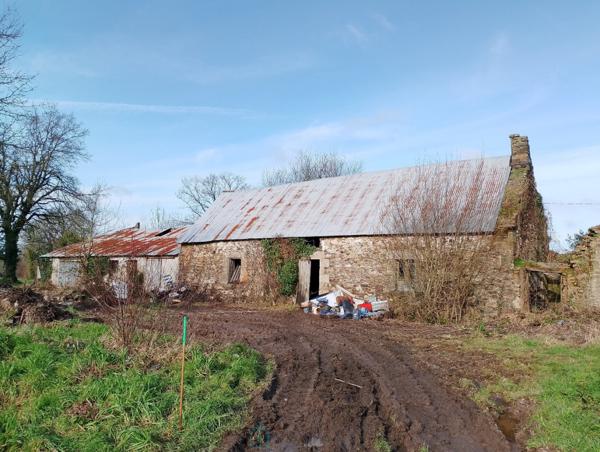 Achat vente Maison Saint Barnabé