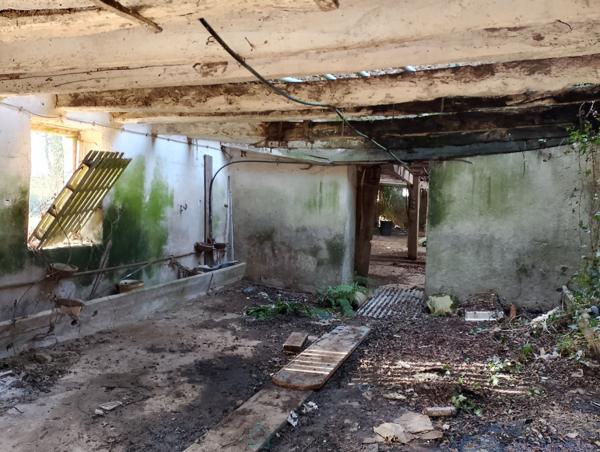 Achat vente Maison Saint Barnabé