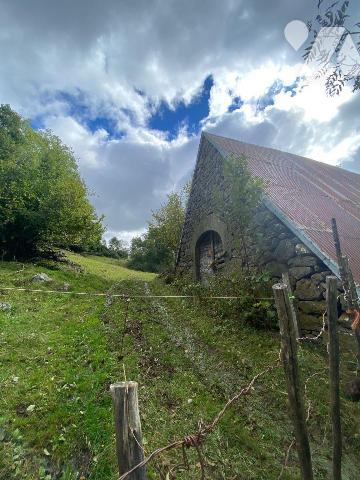 A vendre, sur la commune du Falgoux (CANTAL), à l'entrée d'une piste carrossable permettant l'a...
