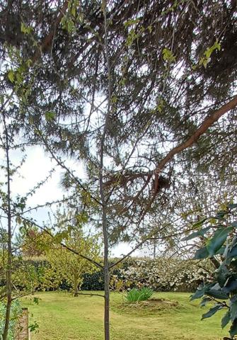 Terrain de 460 m²