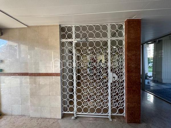 Studette de 17,81 m²