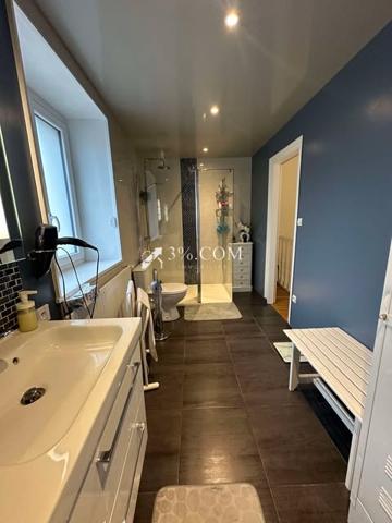 MAISON SUR SOUS-SOL / 3 GARAGES / DEPENDANCES / TERRAIN Dombasle-sur-Meurthe (54110)