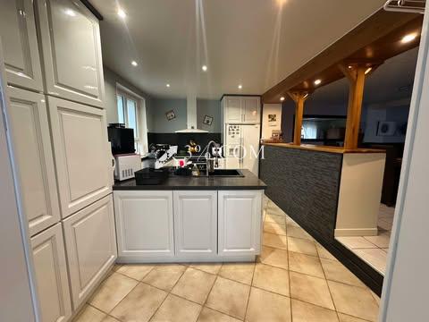 MAISON SUR SOUS-SOL / 3 GARAGES / DEPENDANCES / TERRAIN Dombasle-sur-Meurthe (54110)