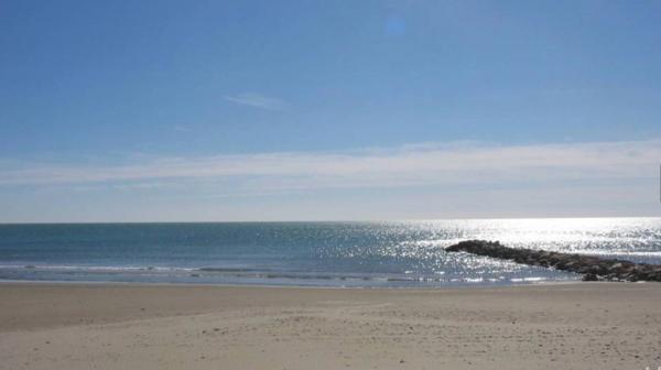 Appartement à vendre 4 pièces CARNON PLAGE (34)