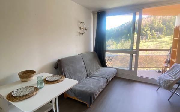 Appartement à vendre  1 pièce •  Villard-de-Lans