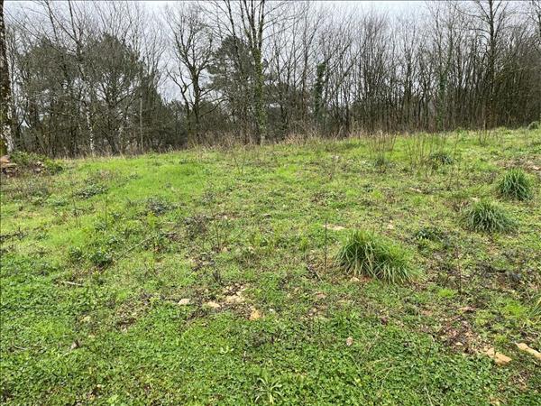 Terrain à vendre |  Beynat |  9210 m²