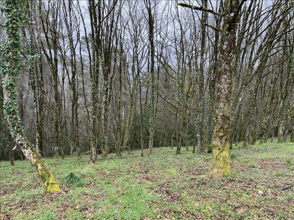 Terrain à vendre |  Beynat |  9210 m²