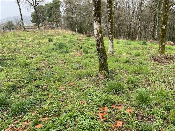 Terrain à vendre |  Beynat |  9210 m²