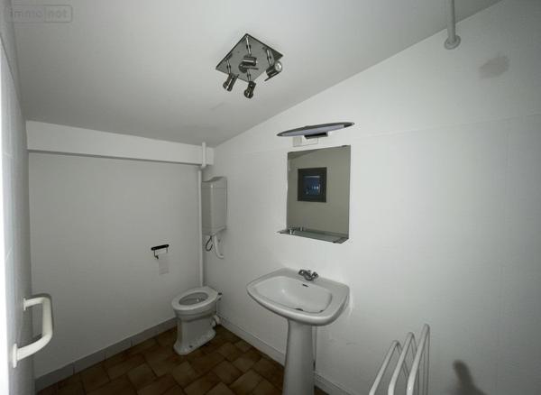 Maison à restaurer à vendre à Tours dans l'Indre-et-Loire (37000), ref : 95-49 FEBVOTTE