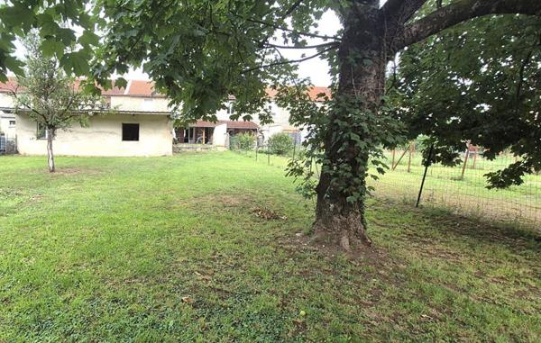 Belle Maison en Pierre Rénovée de 100 m² avec Cave voûtée, Terrasse couverte, Barbecue, Dépendance, Garage et Terrain clos et arboré de 533 m²